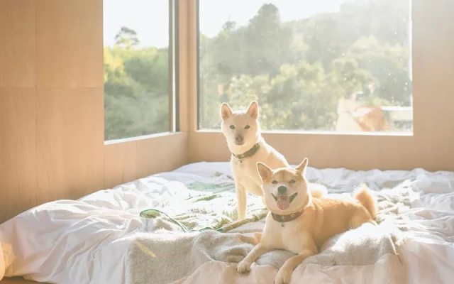 Yadokari Village Kitakaruizawa – Guest Rooms – Tsumagoi
