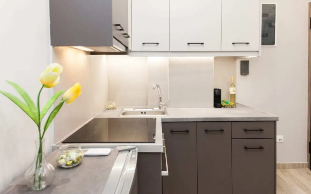 Renovated Gem in Zografou