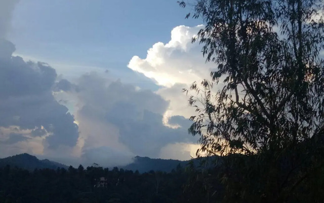 Leisure Vacations Nature's Cradle