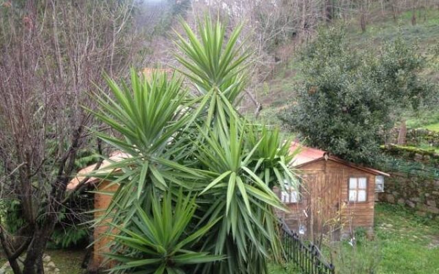 Posada Rincón del Pas