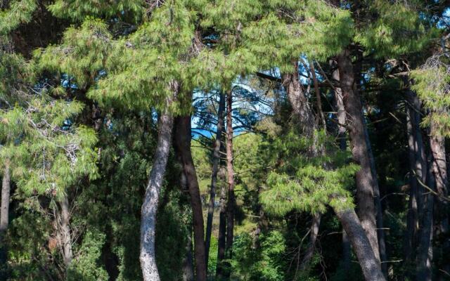 Apartments Casa Melita