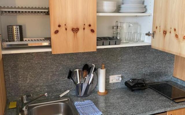 Relaxing confortable studio, heated garage, skiroom