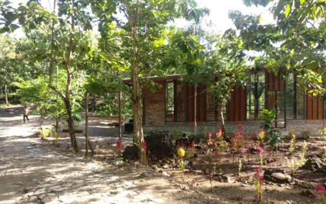 Mojo Resort and Camp Homes