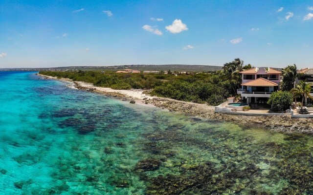 One Ocean Boutique Apartments & Suites Bonaire