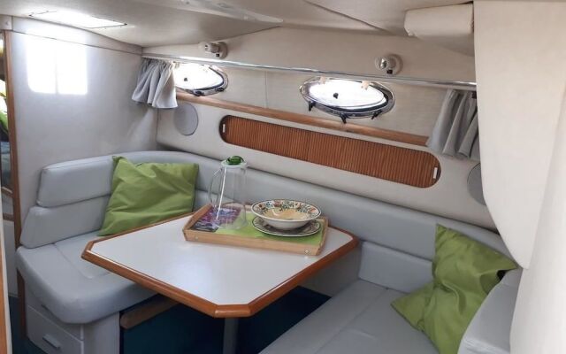 Boat Vedette Arlequin