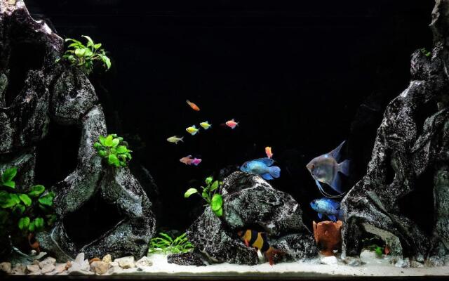 Big Blue Apartment - Belgrade