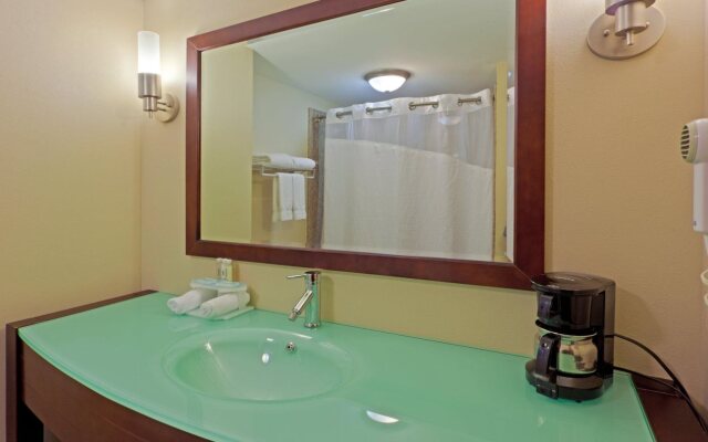 Holiday Inn Express Suites Charleston, An Ihg Hotel