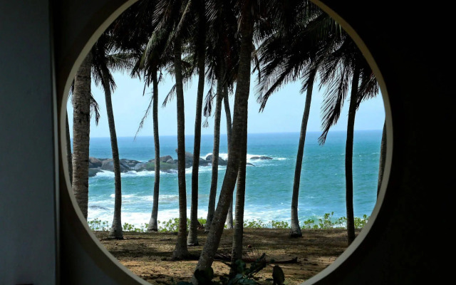 Turtle Bay