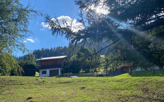 Appartement La Clusaz, 2 pièces, 6 personnes - FR-1-459-34