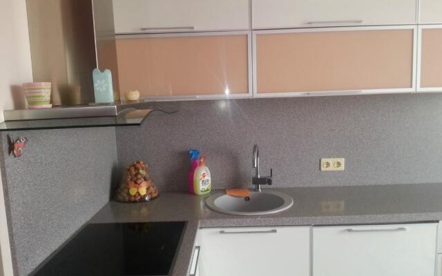 Prospekt Dzerzhinskogo 196 Appartment