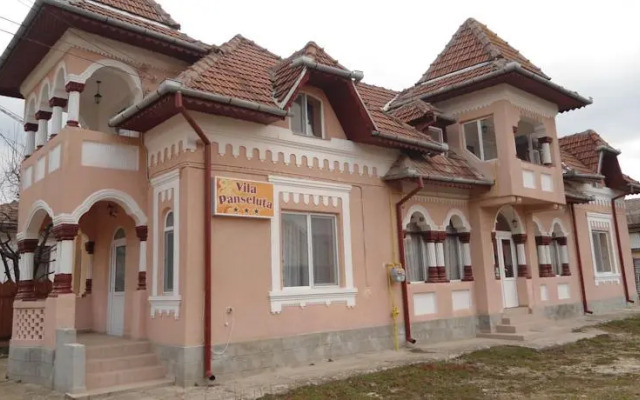 Vila Panseluta