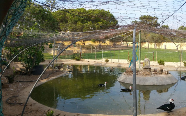 Quinta Vita - Vila Uva