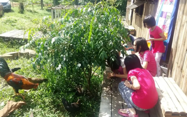 drmind farm