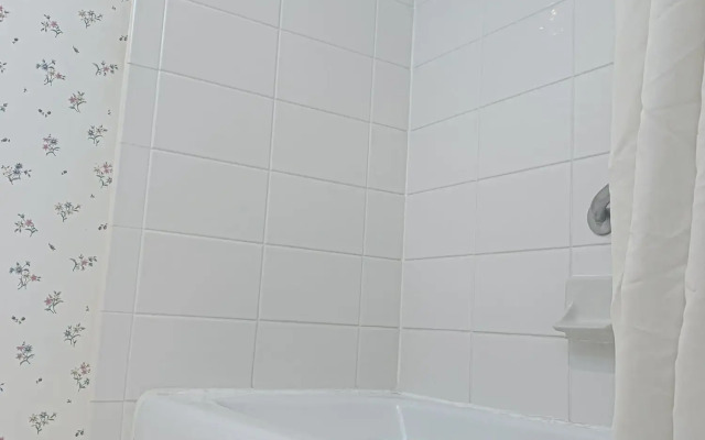 Econo Lodge Inn & Suites