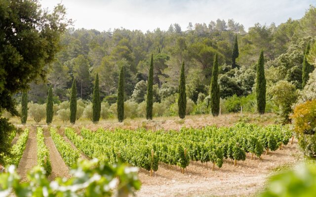 Château Haut Gléon. Gites