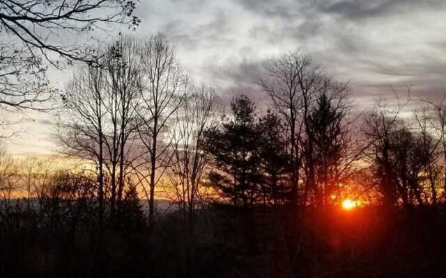 The Roost 2 Bedroom Home