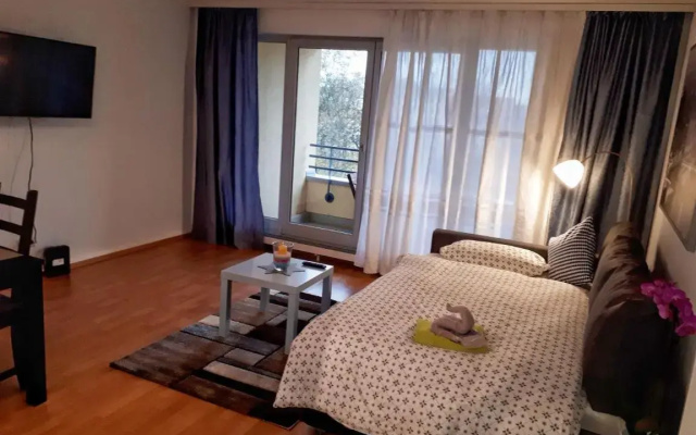 2-Zimmerapartment mit Südloggia