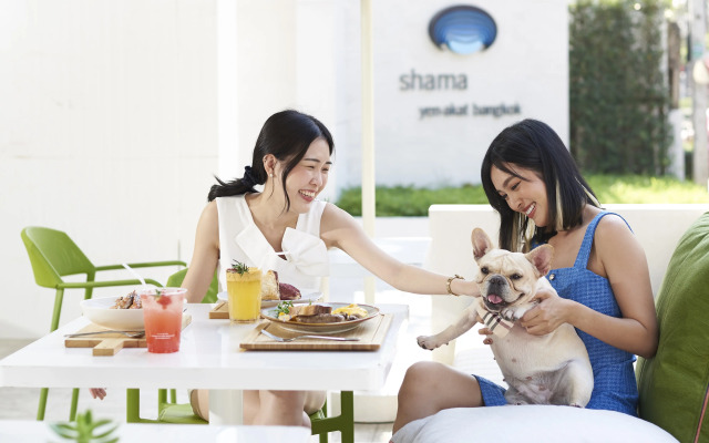 Shama Yen-Akat Bangkok
