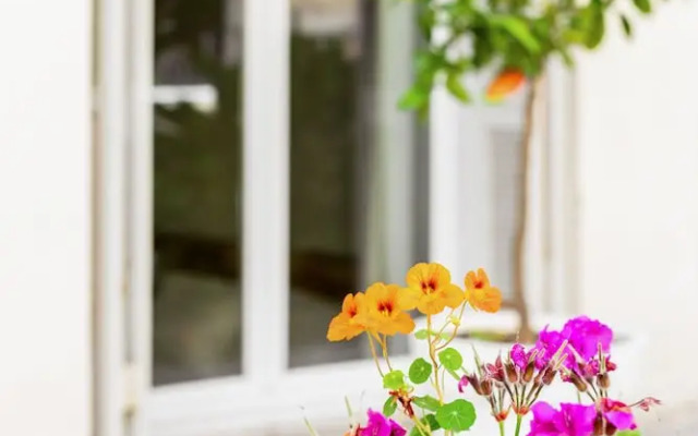 Nice Home - Studios Lido