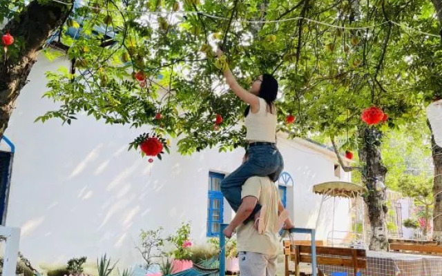 Weizhou Island Flower Kai·Midsummer Homestay (Catholic Church Branch)