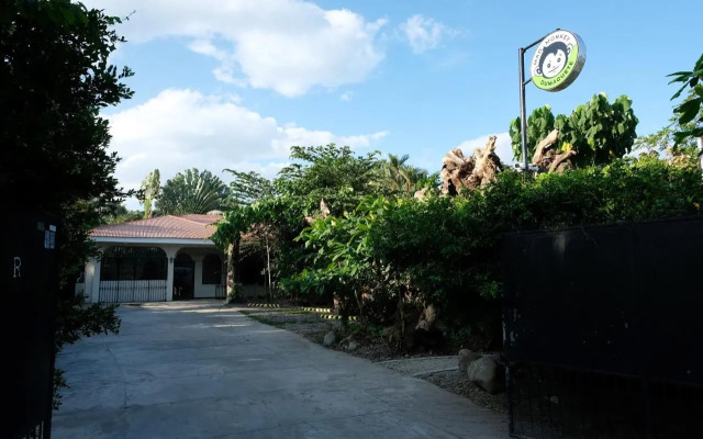 Mad Monkey Dumaguete