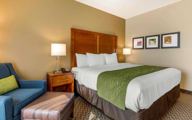 Comfort Inn & Suites Florence Center Area