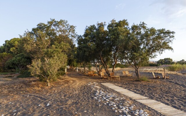 Eco Beach and Magic Garden