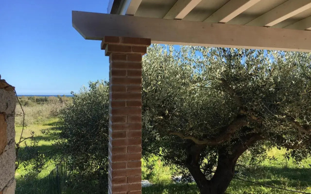 Sa Tanca De Mannoi