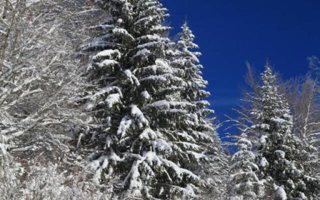le refuge des Marmottes