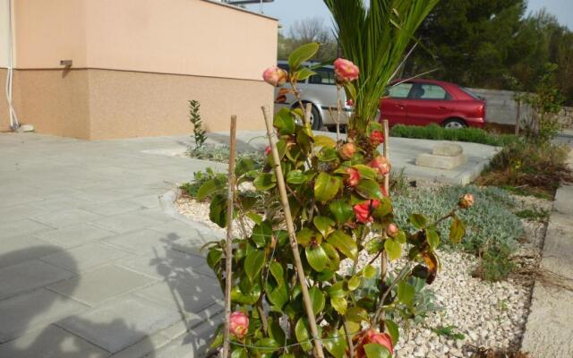 Apartments Branka