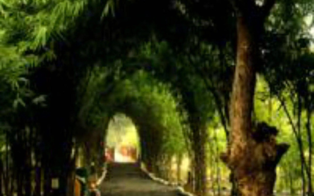 Lemon Tree Wildlife Resort, Bandhavgarh