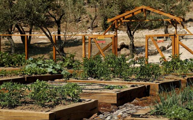 Assos Longevity Hotel