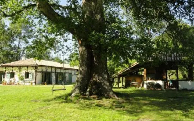 Gîte Luglon, 2 pièces, 2 personnes - FR-1-360-316