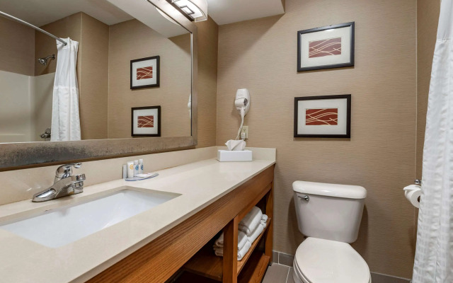 Comfort Inn & Suites Napoleon