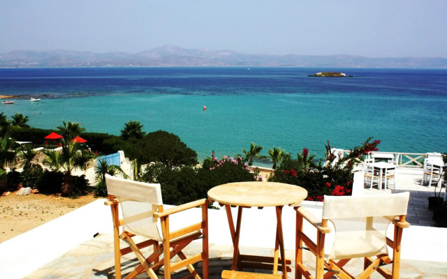 Paros Blue Dolphin