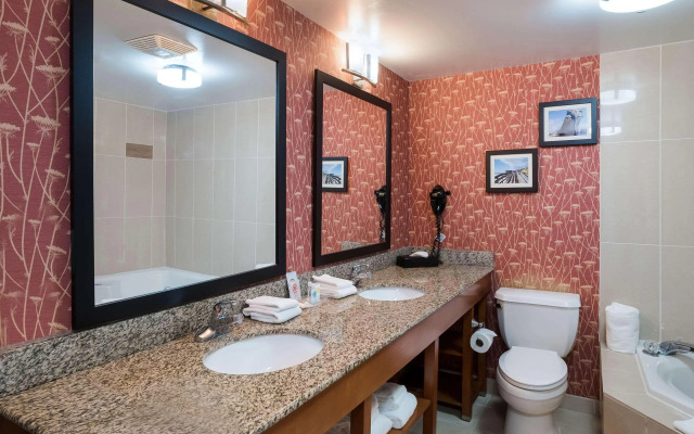 Comfort Suites Suffolk - Chesapeake