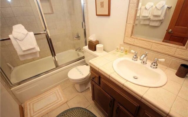 Mountainback #45, Den