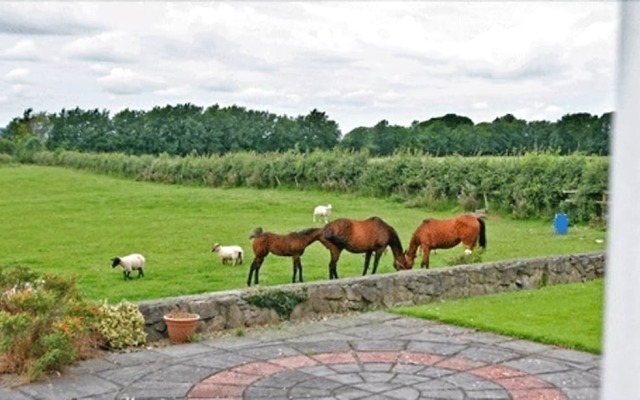 Beechgrove Farmhouse
