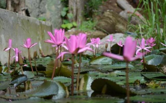 Arangala Forest Lodge