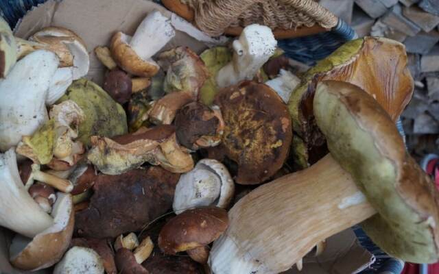 Gästehaus Sachsenstübel