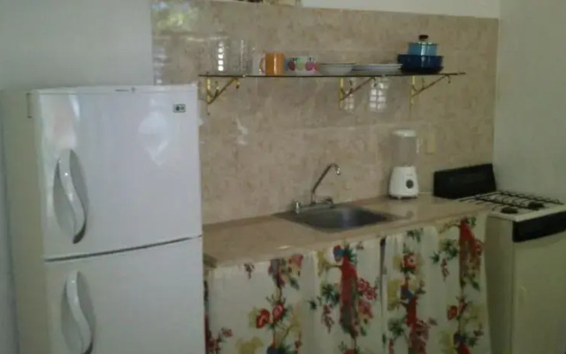 Rentas La 5TA Avenida