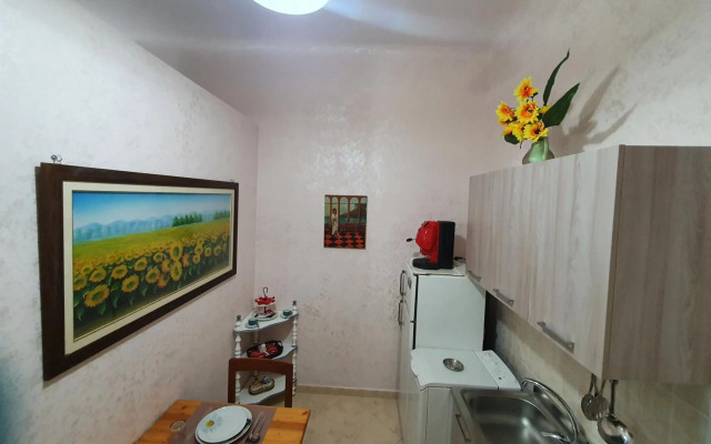 Regina Elena Apartments