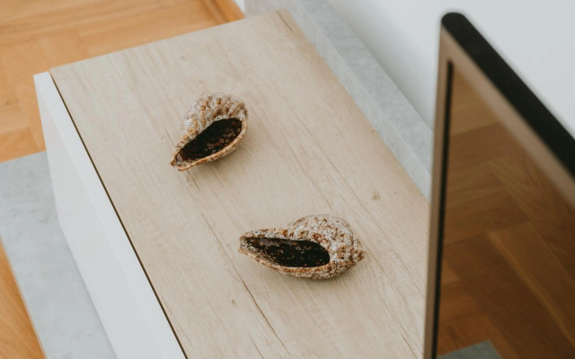 Spacious Modern New 48 m2 flat + free parking