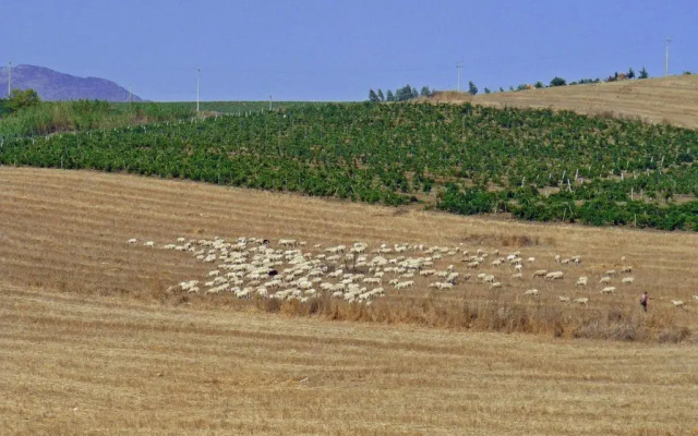 Baglio Nuovo Country Village