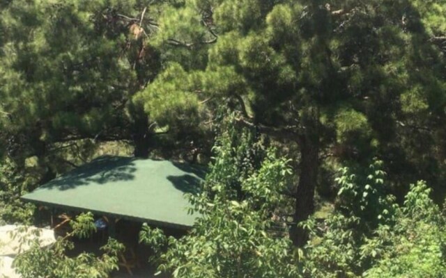 Pleasant Flat With Balcony and Pool in Konyaalti