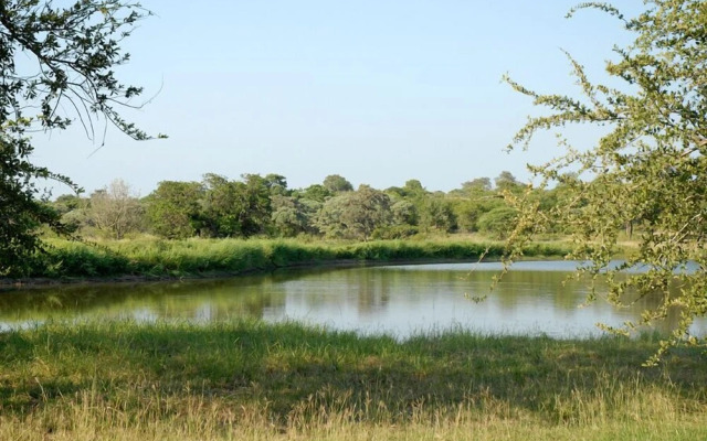 Kingfisher Bush Camp