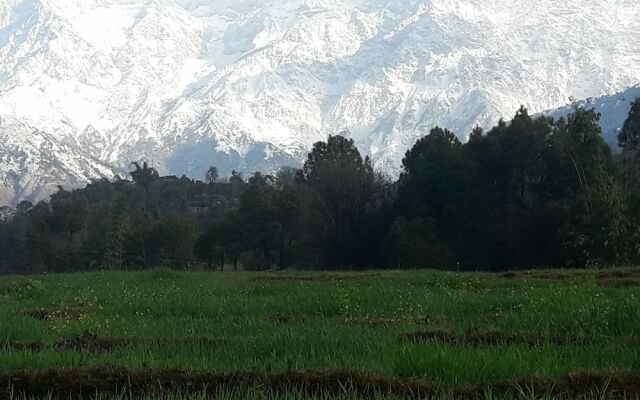 Nature Bloom Dharamshala Hotel and Resort