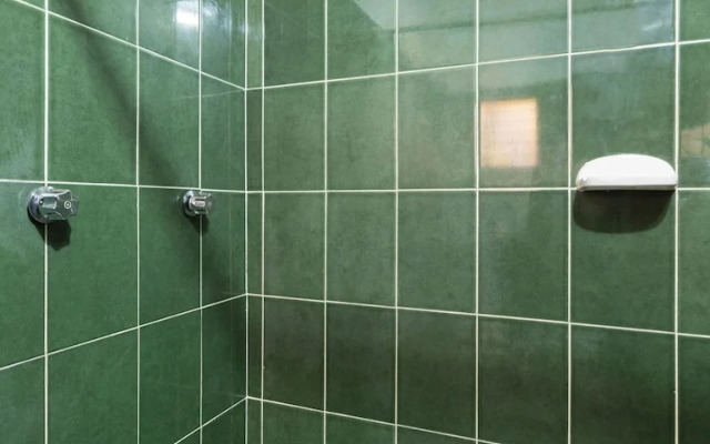 OYO Hotel Posada San Rafael