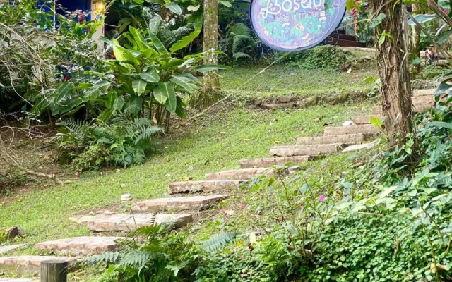 Bougainville Toque Toque Grande