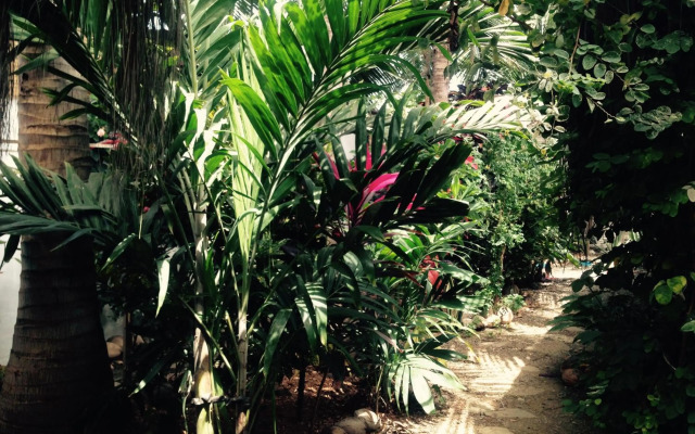 Casa Kresala, Surf House